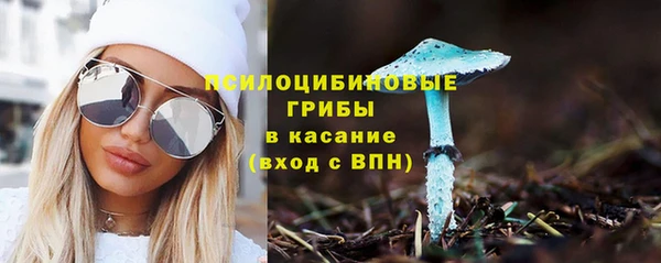 бошки Новозыбков