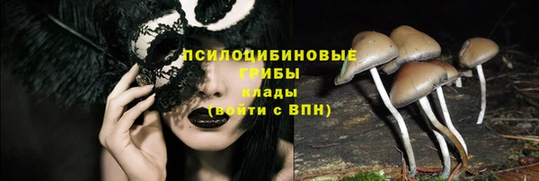 бошки Новозыбков