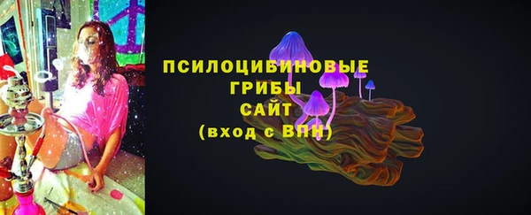 бошки Нефтегорск
