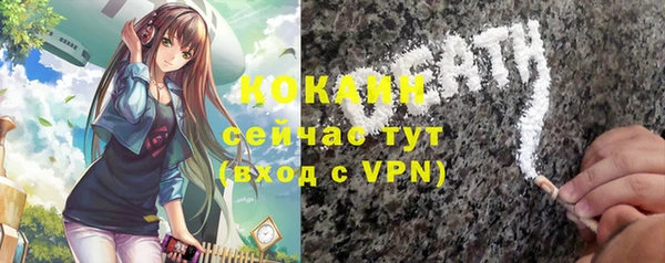 бошки Новозыбков