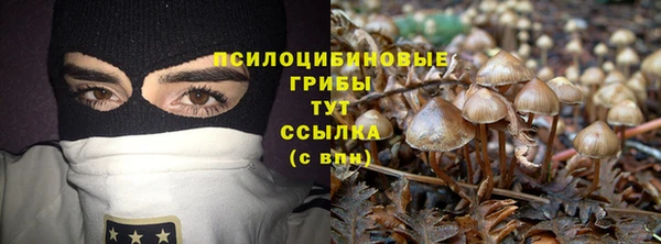 бошки Нефтегорск
